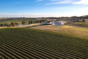 View of O'Leary Walker c=vines and Cellar Door, Leasingham