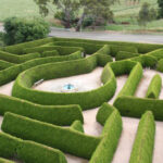 a maze for families and kids in Mintaro