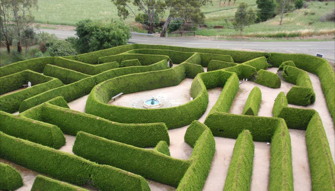 a maze for families and kids in Mintaro