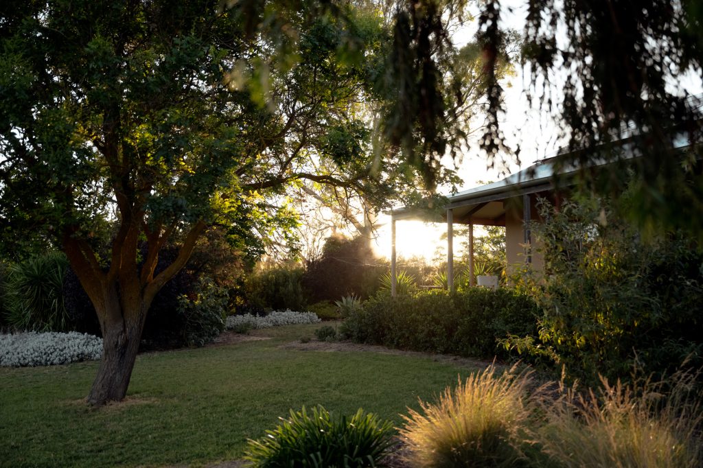 The Artist’s Homestead — 4