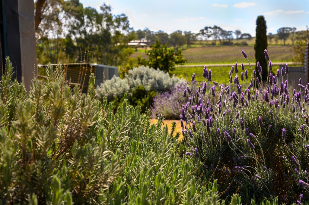 The Artist’s Homestead — 11