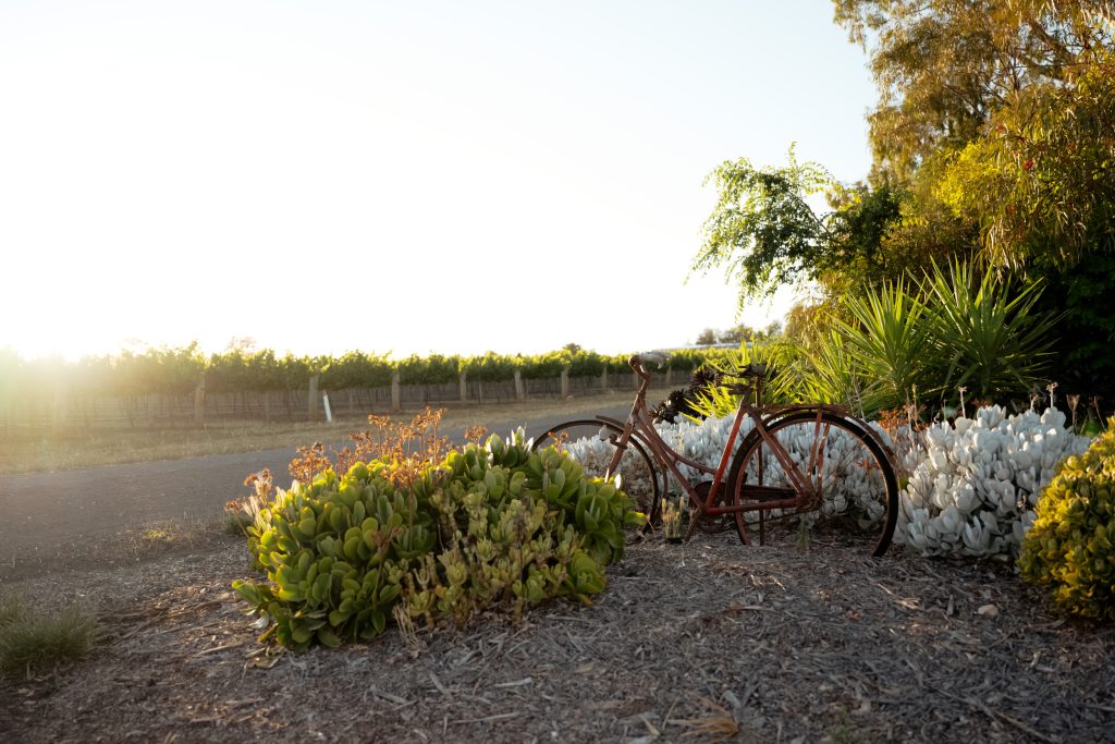 The Artist’s Homestead — 12